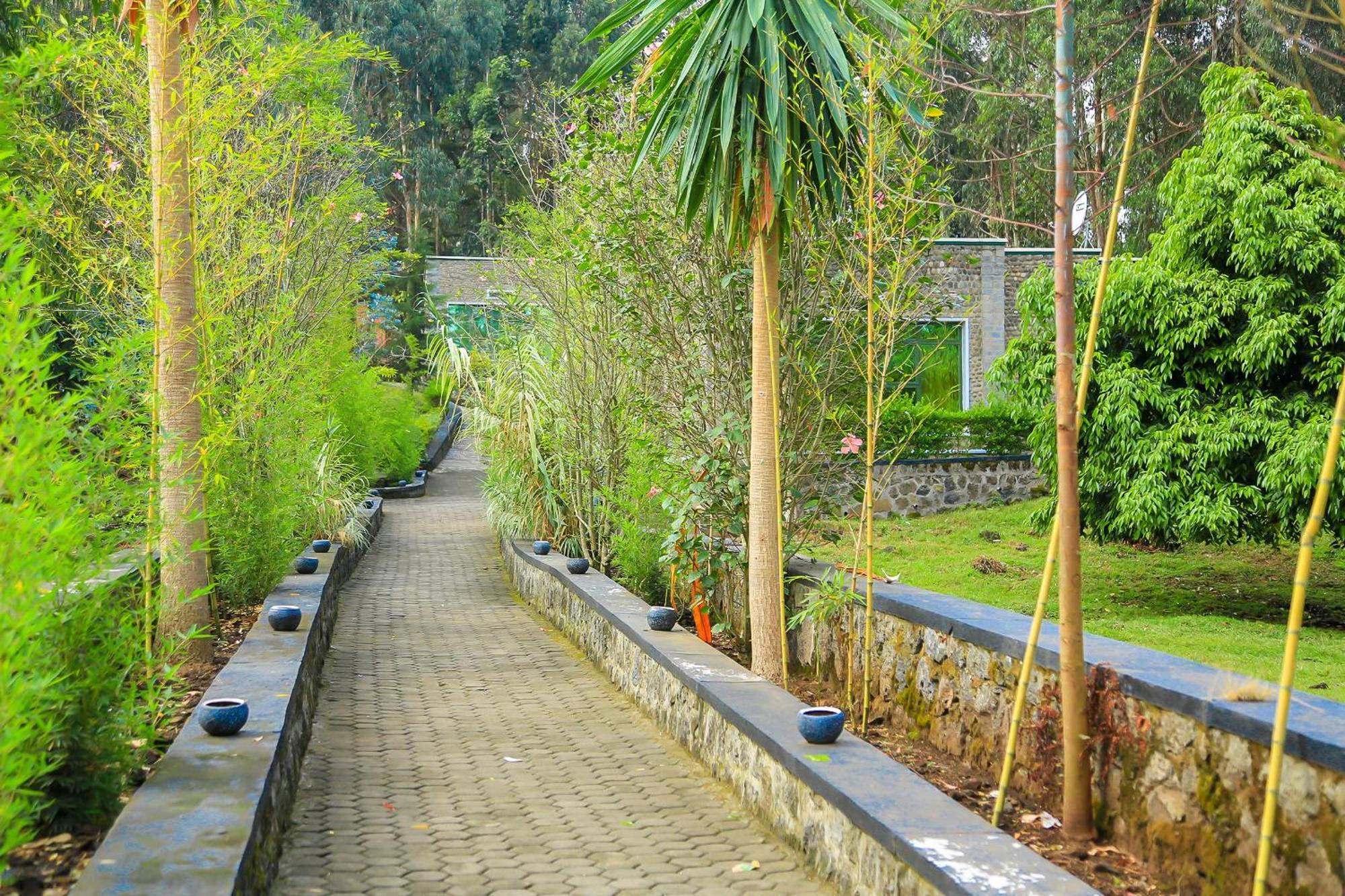 רוהנגרי Karisimbi Cave Resort מראה חיצוני תמונה